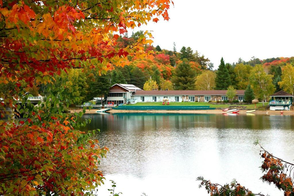 Algonquin Lakeside Inn Dwight Buitenkant foto
